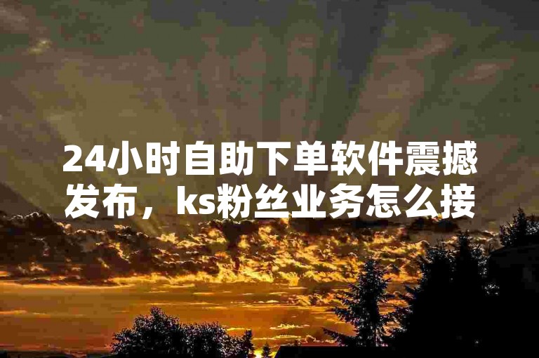 24小时自助下单软件震撼发布，ks粉丝业务怎么接,24小时QQ空间访客 - 抖音点赞24小时在线超低价!