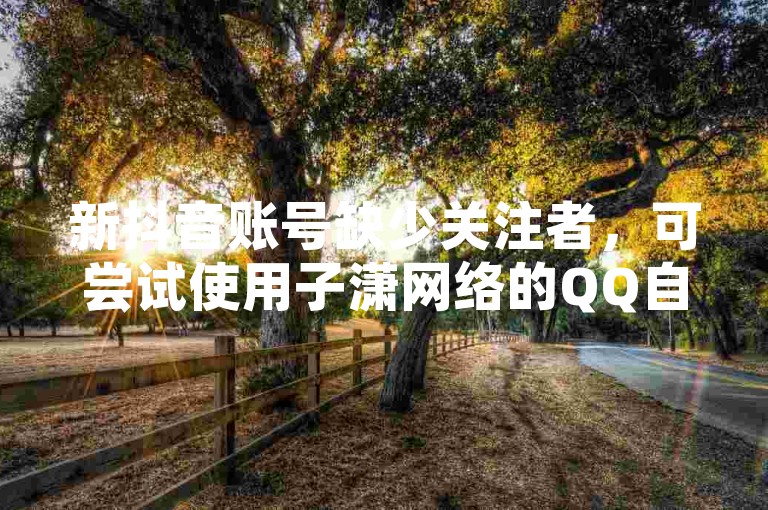 新抖音账号缺少关注者，可尝试使用子潇网络的QQ自动下单服务。