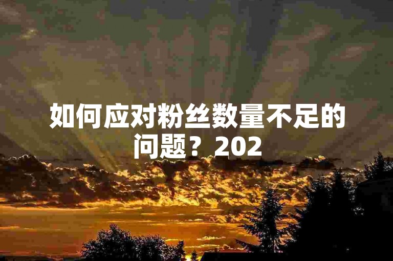 如何应对粉丝数量不足的问题？2025年必备的解决策略！