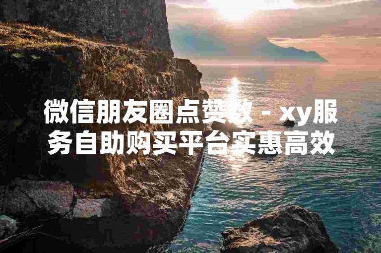 微信朋友圈点赞数 - xy服务自助购买平台实惠高效