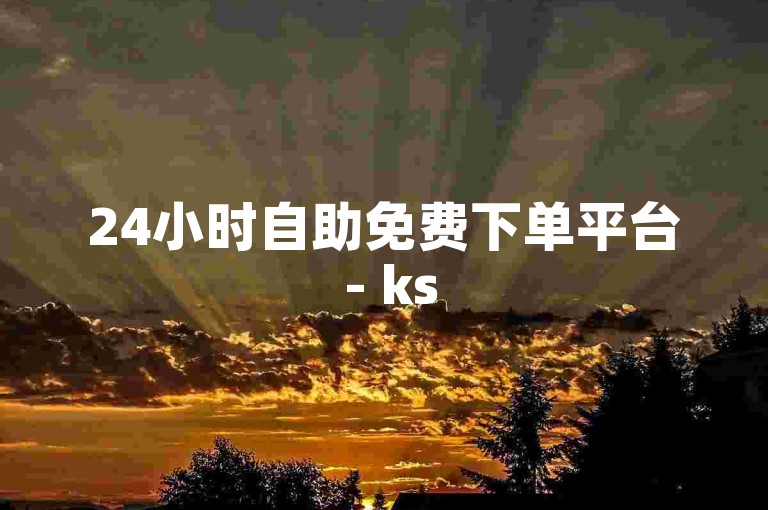 24小时自助免费下单平台 - ks50双击自助下单