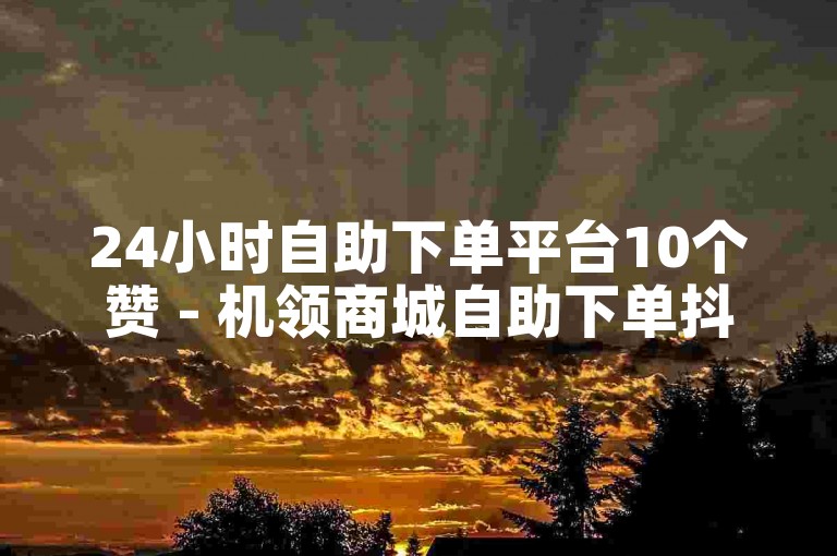 24小时自助下单平台10个赞 - 机领商城自助下单抖音