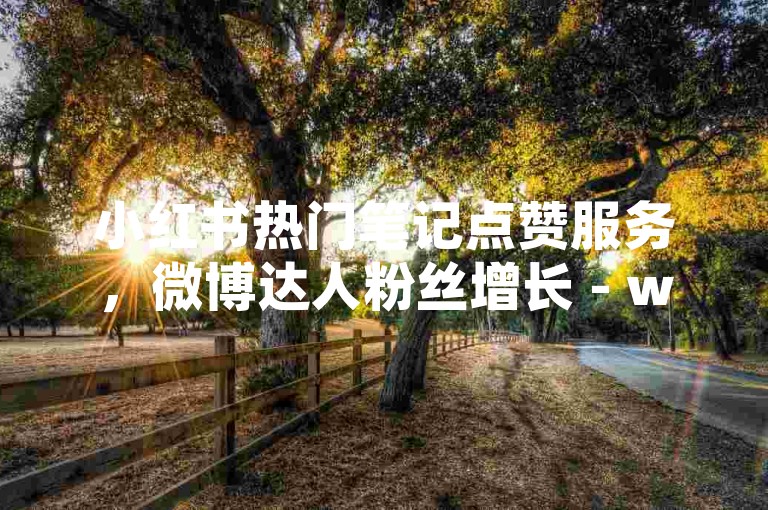 小红书热门笔记点赞服务，微博达人粉丝增长 - wx10元一万粉 - 微博充值详情查询方法。
