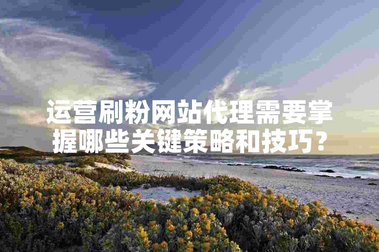 运营刷粉网站代理需要掌握哪些关键策略和技巧？