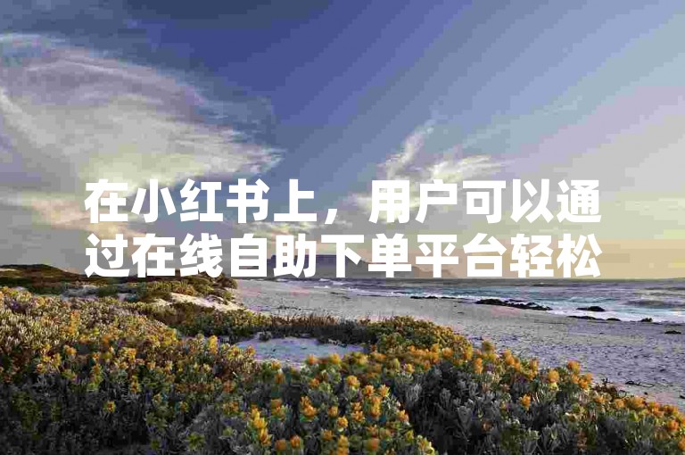 在小红书上，用户可以通过在线自助下单平台轻松增加点赞和粉丝。