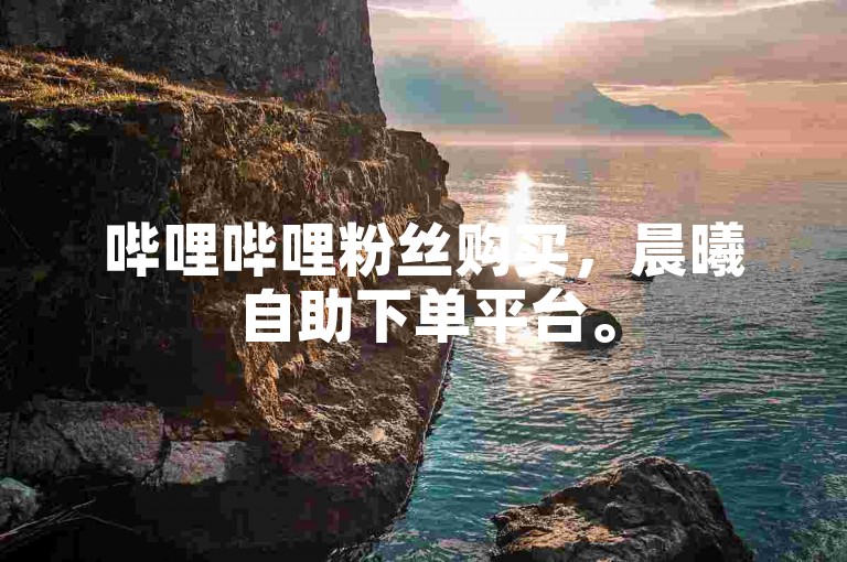 哔哩哔哩粉丝购买，晨曦自助下单平台。