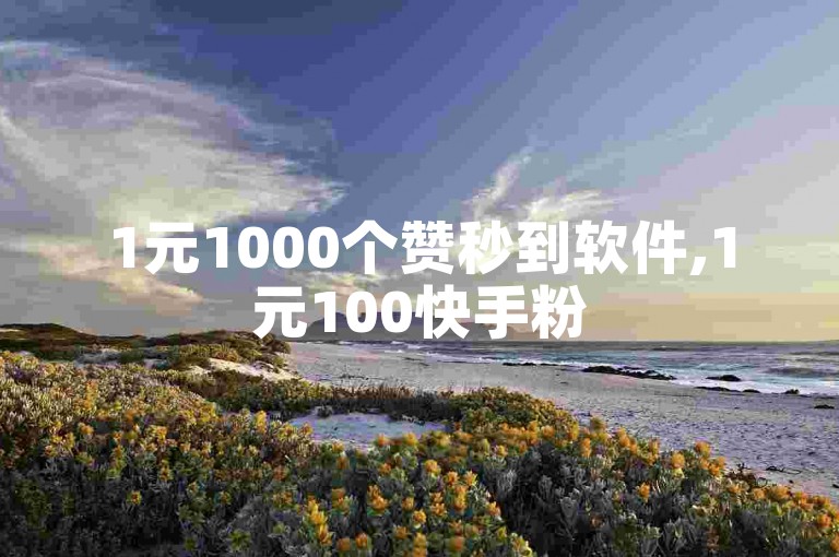 1元1000个赞秒到软件,1元100快手粉