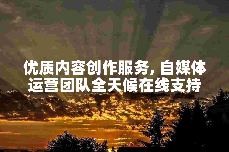 优质内容创作服务, 自媒体运营团队全天候在线支持。