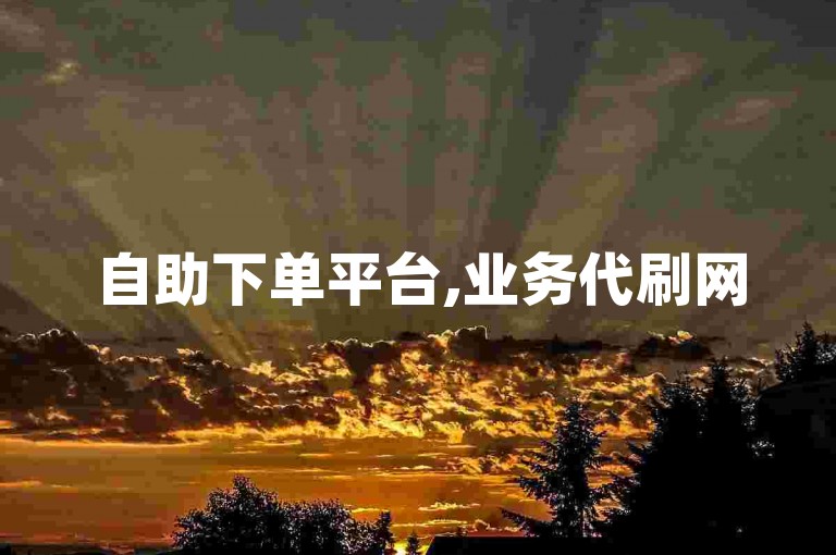 自助下单平台,业务代刷网