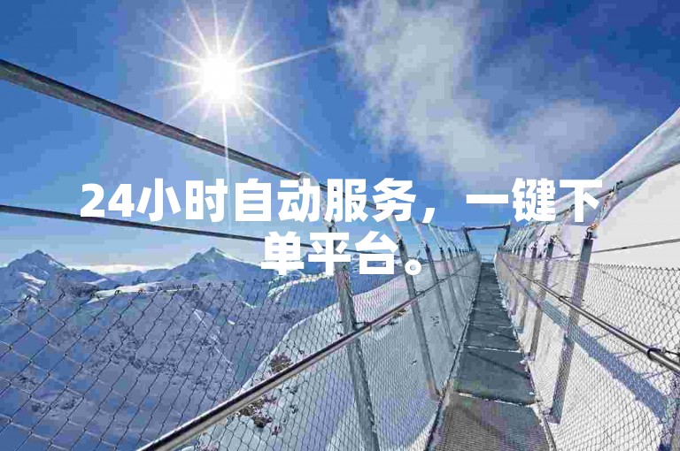 24小时自动服务，一键下单平台。