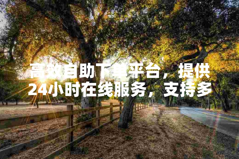 高效自助下单平台，提供24小时在线服务，支持多种业务快速处理。