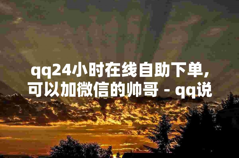 qq24小时在线自助下单,可以加微信的帅哥 - qq说说赞空间说说的网站 - qq空间买访客量的网址