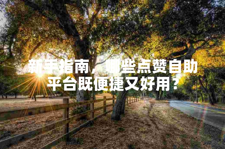 新手指南，哪些点赞自助平台既便捷又好用？