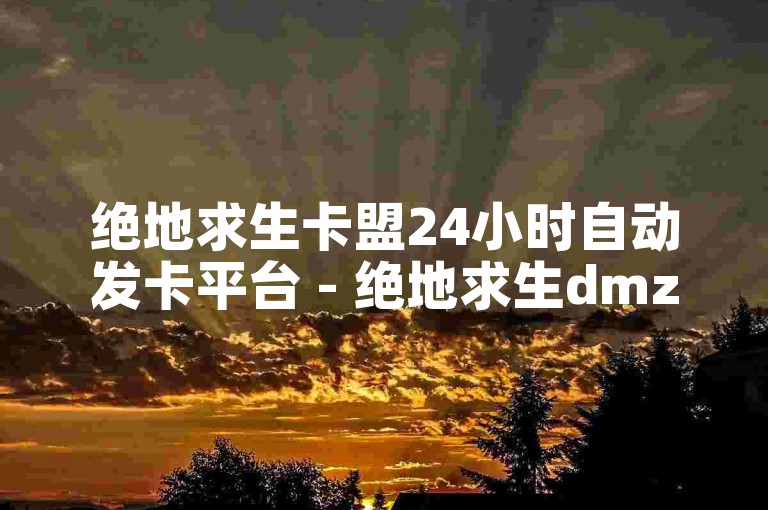 绝地求生卡盟24小时自动发卡平台 - 绝地求生dmz卡盟