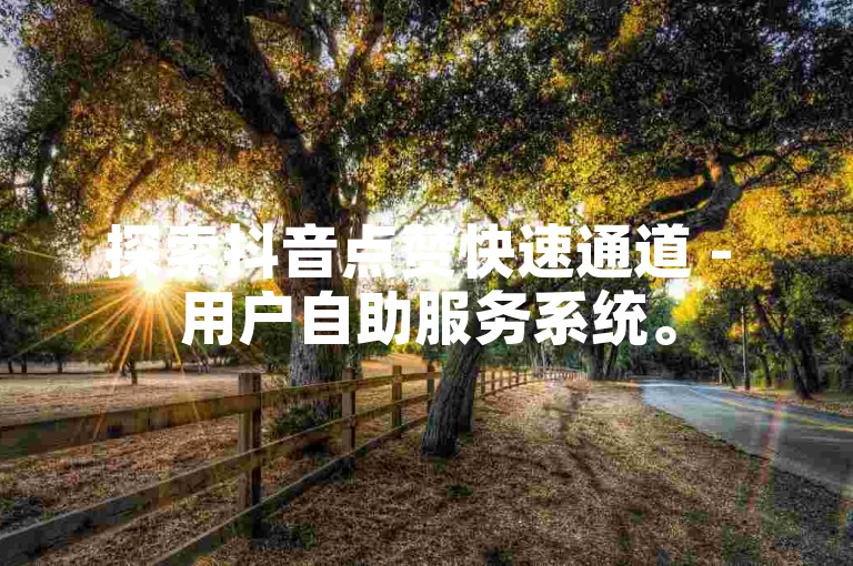 探索抖音点赞快速通道 - 用户自助服务系统。