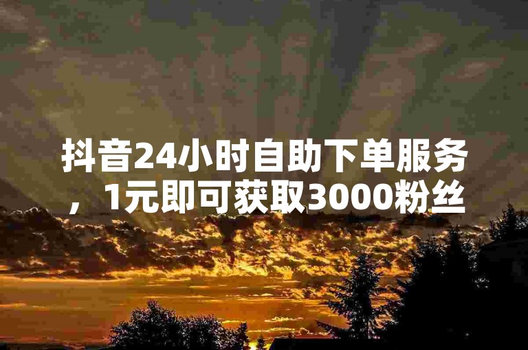 抖音24小时自助下单服务，1元即可获取3000粉丝。