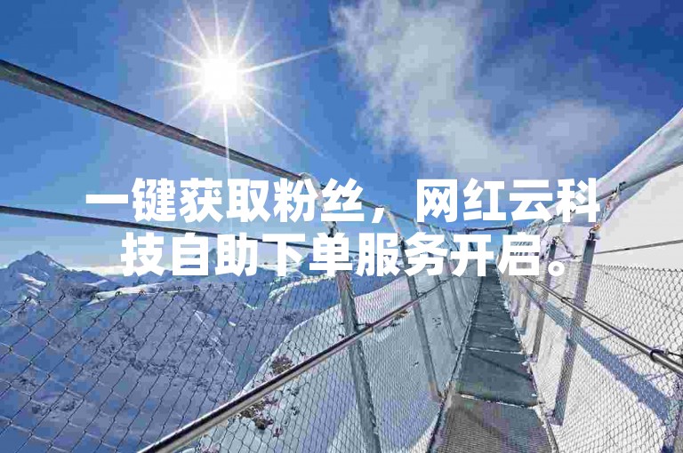 一键获取粉丝，网红云科技自助下单服务开启。