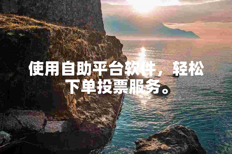 使用自助平台软件，轻松下单投票服务。