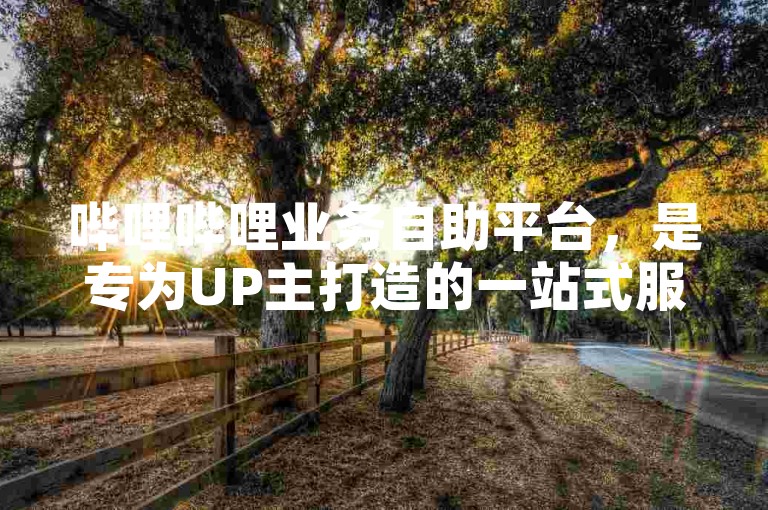 哔哩哔哩业务自助平台，是专为UP主打造的一站式服务平台。