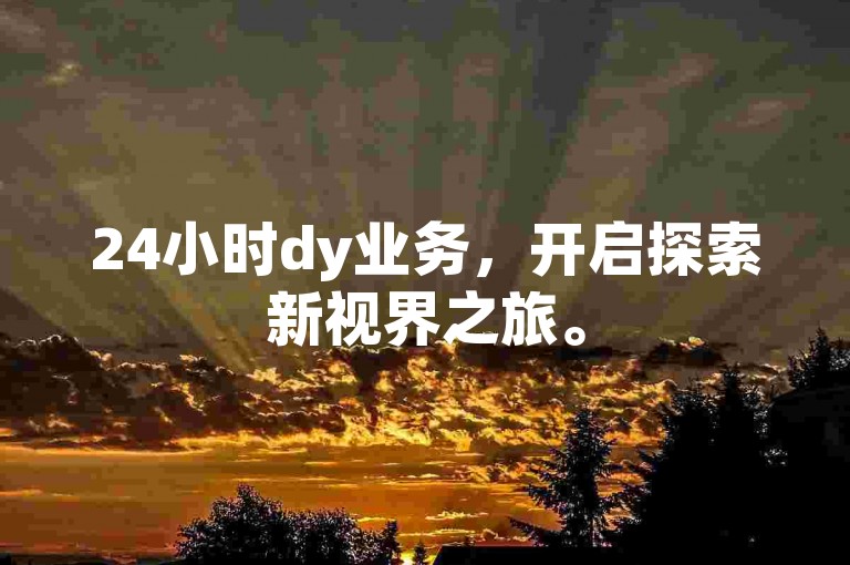 24小时dy业务，开启探索新视界之旅。