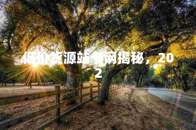 低价货源站卡网揭秘，2025必学，高性价比好物尽在此处！