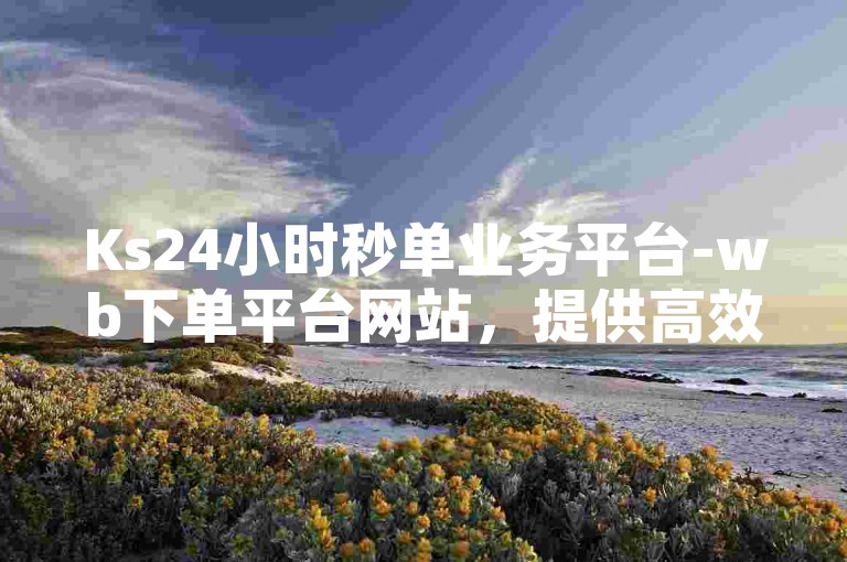 Ks24小时秒单业务平台-wb下单平台网站，提供高效便捷的服务。