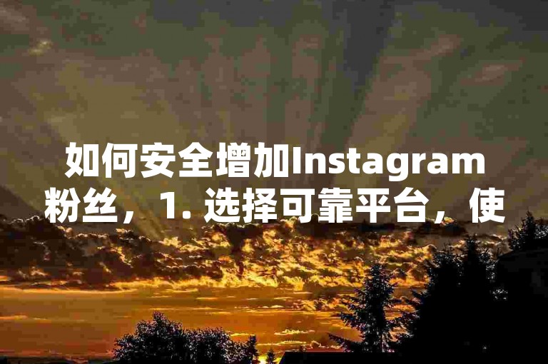如何安全增加Instagram粉丝，1. 选择可靠平台，使用经过验证的第三方服务时，务必选择信誉良好的平台。，2. 避免低价诱惑，警惕价格异常低廉的服务，以免账号被封禁。，3. 保护个人信息，不要提供敏感信息，确保交易安全。