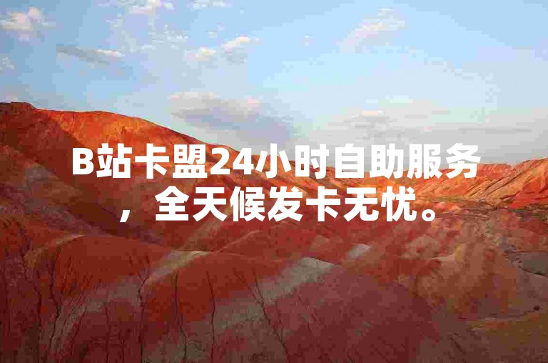 B站卡盟24小时自助服务，全天候发卡无忧。