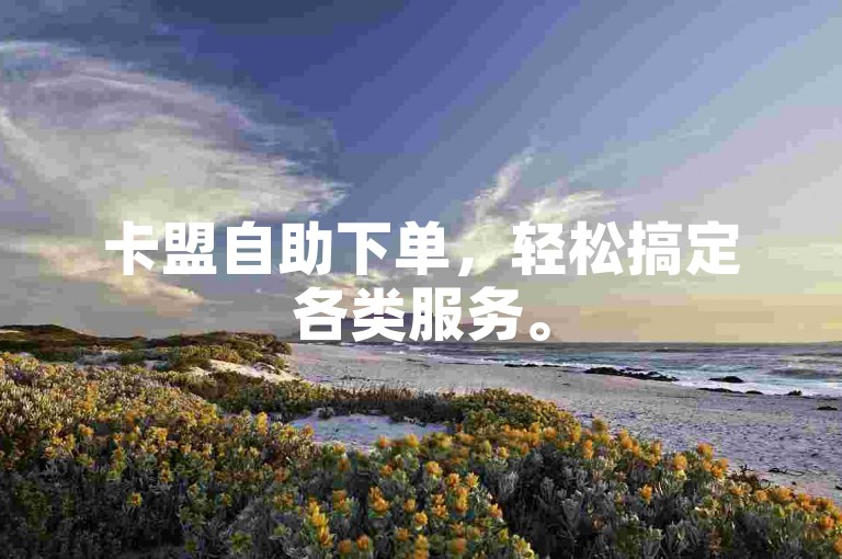 卡盟自助下单，轻松搞定各类服务。