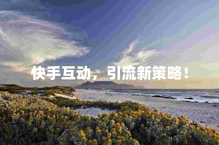 快手互动，引流新策略！