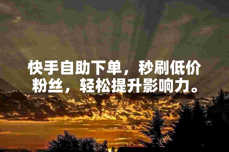 快手自助下单，秒刷低价粉丝，轻松提升影响力。