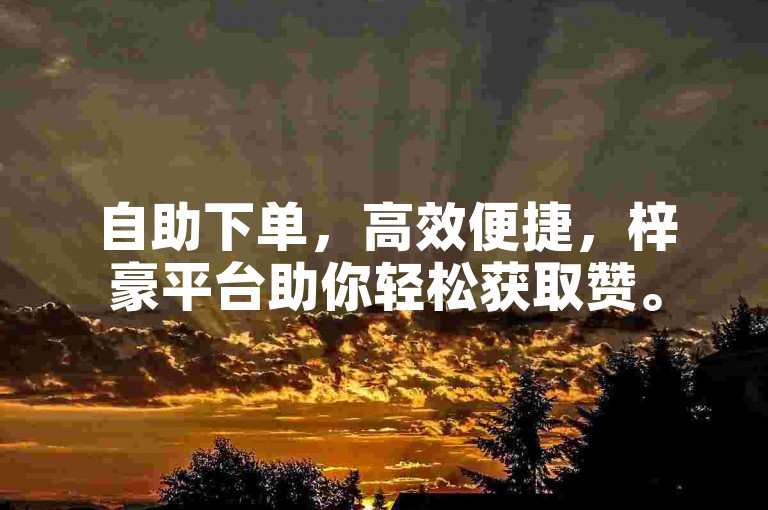 自助下单，高效便捷，梓豪平台助你轻松获取赞。