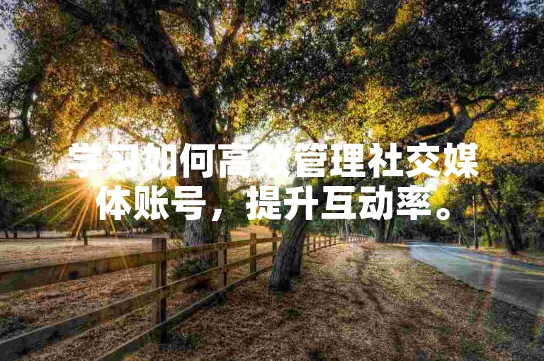 学习如何高效管理社交媒体账号，提升互动率。