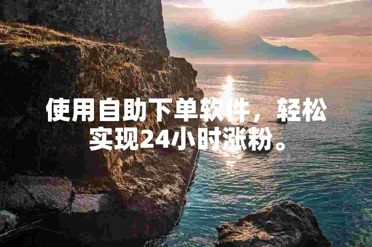 使用自助下单软件，轻松实现24小时涨粉。