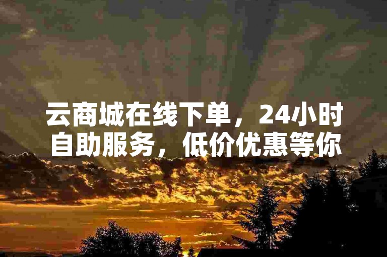 云商城在线下单，24小时自助服务，低价优惠等你体验。