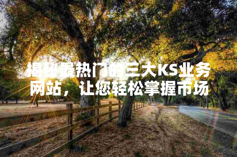 揭秘最热门的三大KS业务网站，让您轻松掌握市场动态。