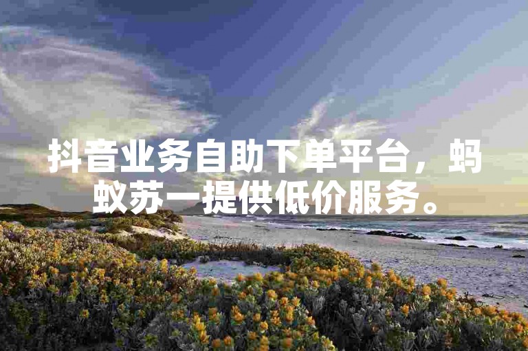 抖音业务自助下单平台，蚂蚁苏一提供低价服务。