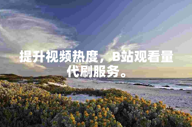 提升视频热度，B站观看量代刷服务。