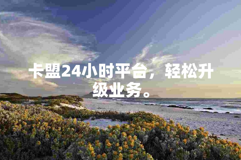 卡盟24小时平台，轻松升级业务。