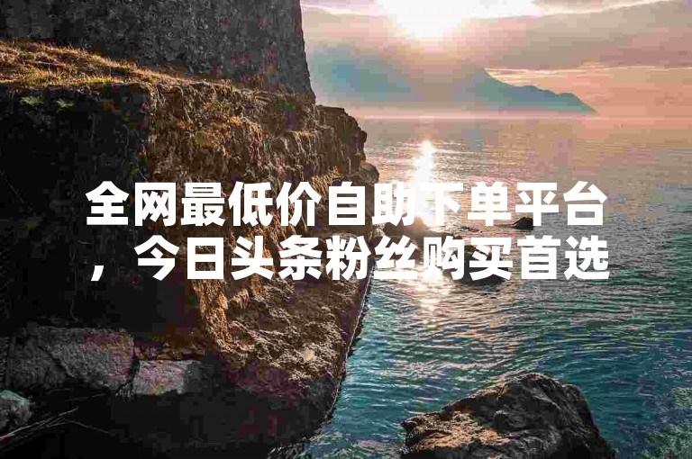 全网最低价自助下单平台，今日头条粉丝购买首选。