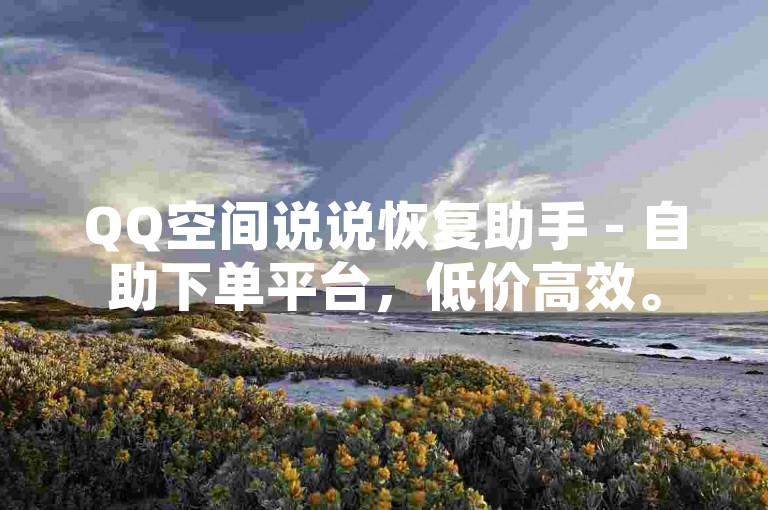 QQ空间说说恢复助手 - 自助下单平台，低价高效。