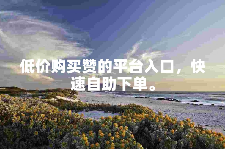 低价购买赞的平台入口，快速自助下单。