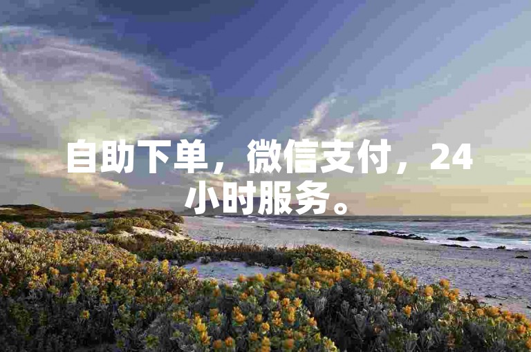 自助下单，微信支付，24小时服务。