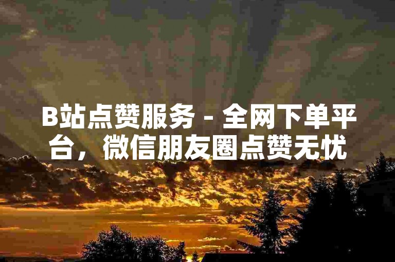 B站点赞服务 - 全网下单平台，微信朋友圈点赞无忧。