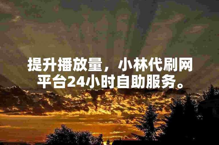 提升播放量，小林代刷网平台24小时自助服务。