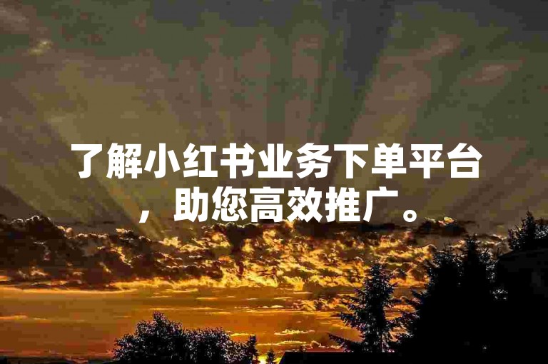 了解小红书业务下单平台，助您高效推广。