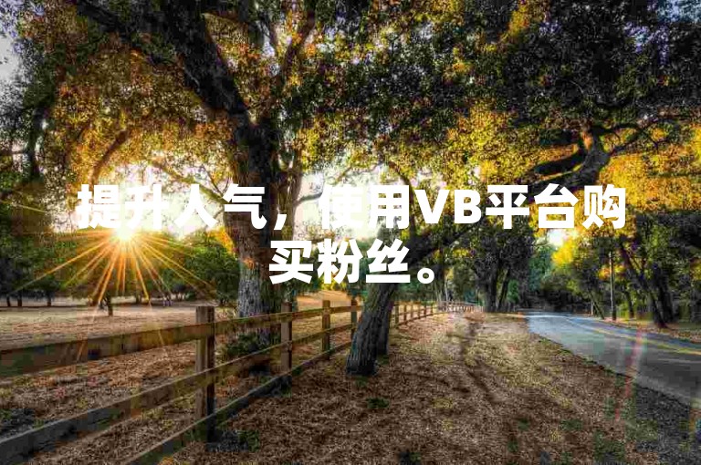 提升人气，使用VB平台购买粉丝。