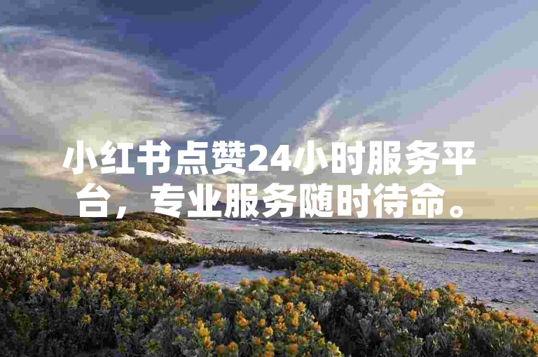 小红书点赞24小时服务平台，专业服务随时待命。