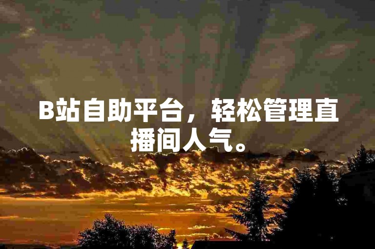 B站自助平台，轻松管理直播间人气。
