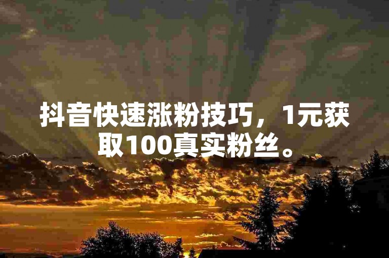 抖音快速涨粉技巧，1元获取100真实粉丝。